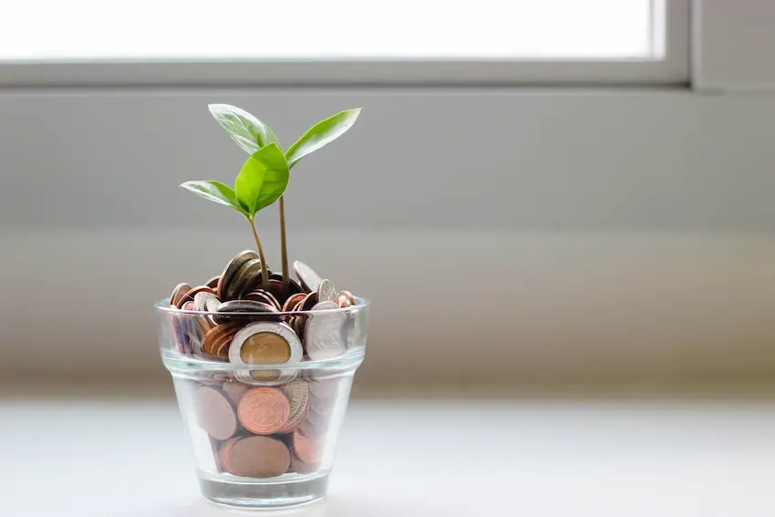 Un vaso a modo de maceta lleno de monedas y el brote de una planta creciendo dentro.