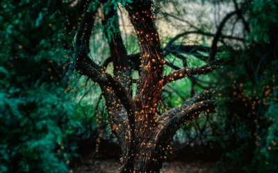 Que el bosque no tape al árbol